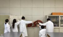 自然科学部