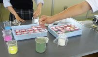 自然科学部