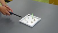 自然科学部
