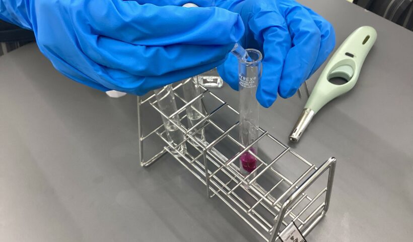 自然科学部