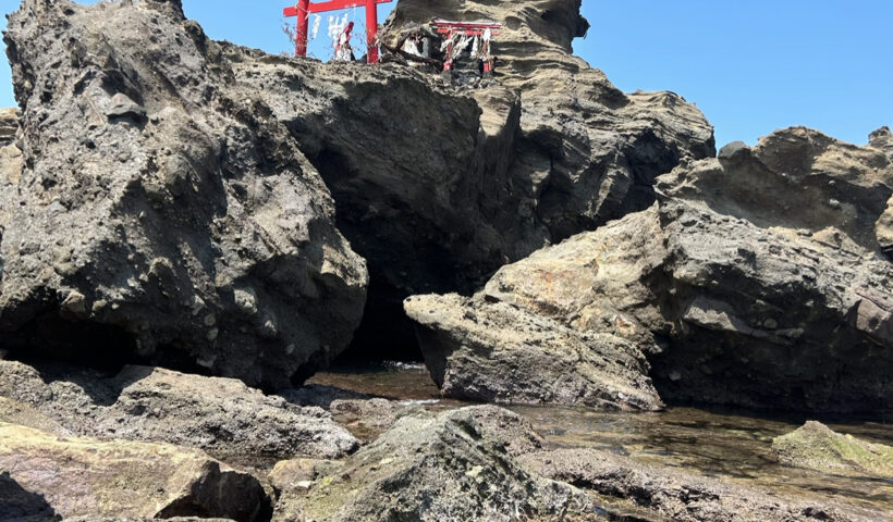 写真部