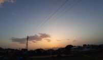 写真部