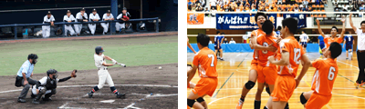 Ⅱ類 Ⅱ類